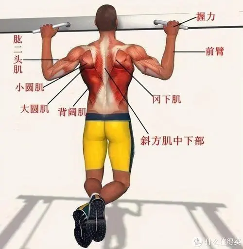 物联网jasper是什么意思 物联网jasper是什么意思